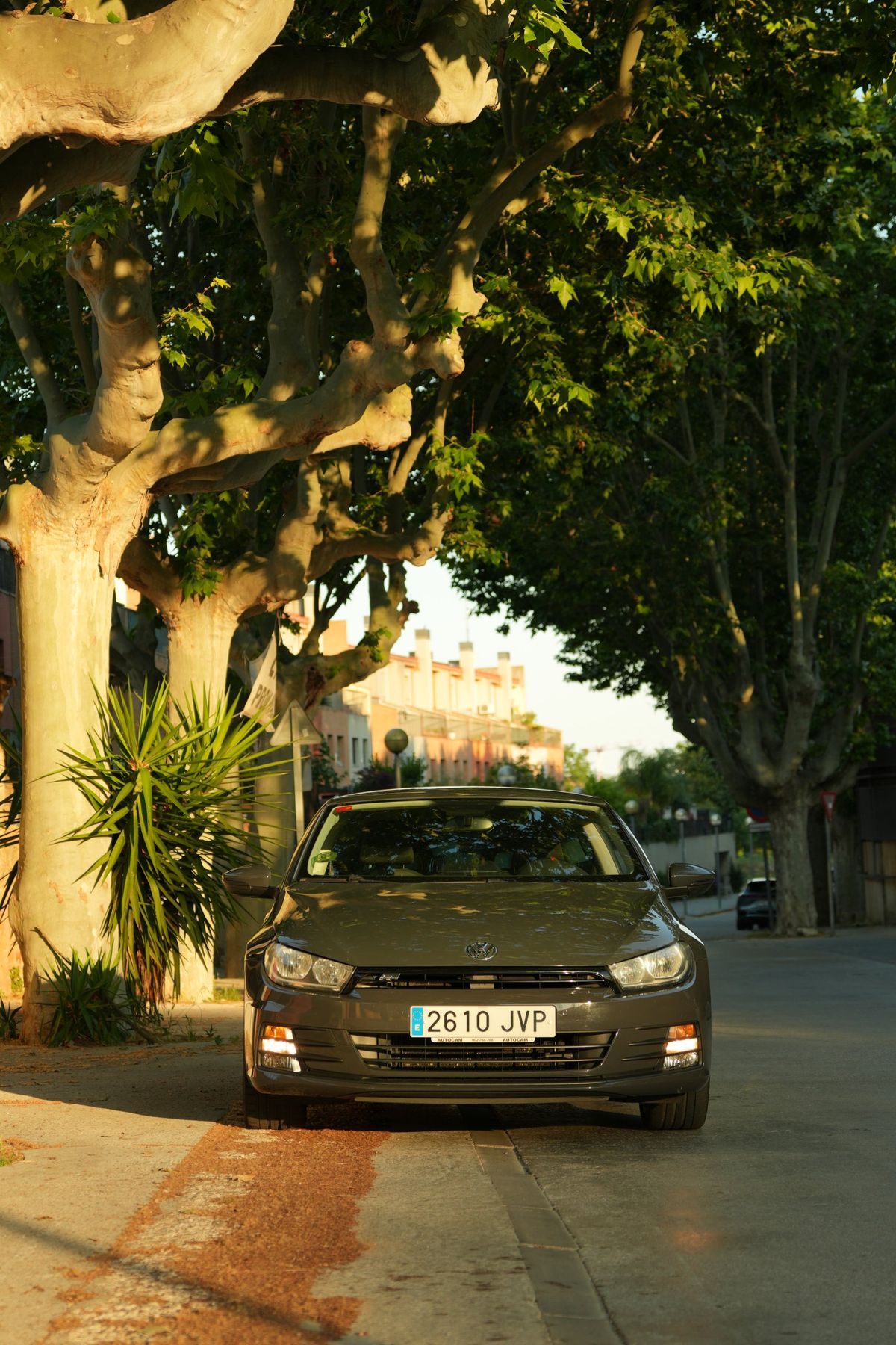 VW Scirocco bajo los plátanos